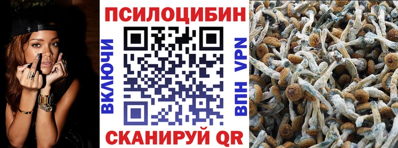 Галлюциногенные грибы MAGIC MUSHROOMS  Кропоткин 