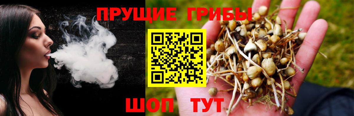 Галлюциногенные грибы мицелий  Вход с VPN  Кропоткин 