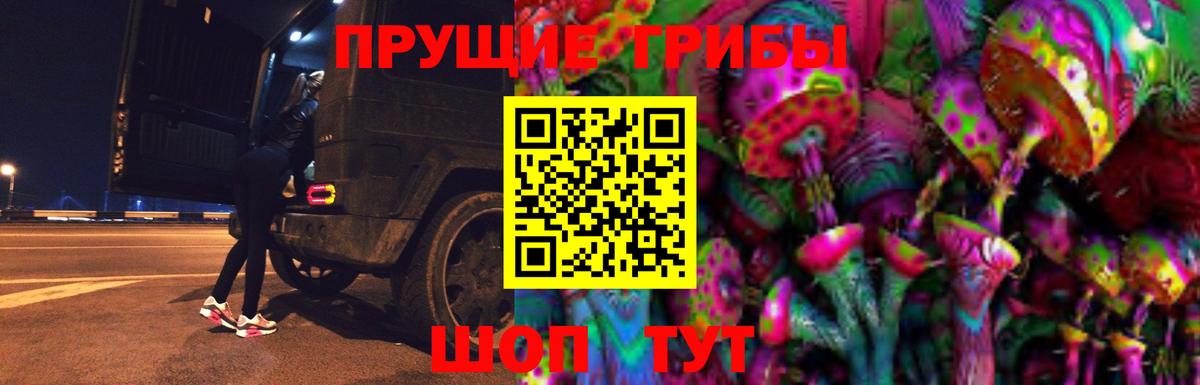 Псилоцибиновые грибы Psilocybe Кропоткин